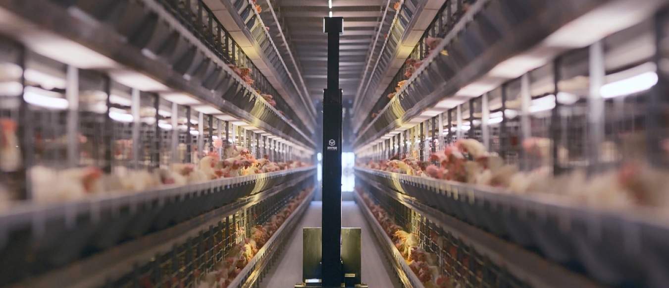 浙江两会专访｜时嵩：给农业插上AI翅膀，让共富链“聪明”起来(图2)