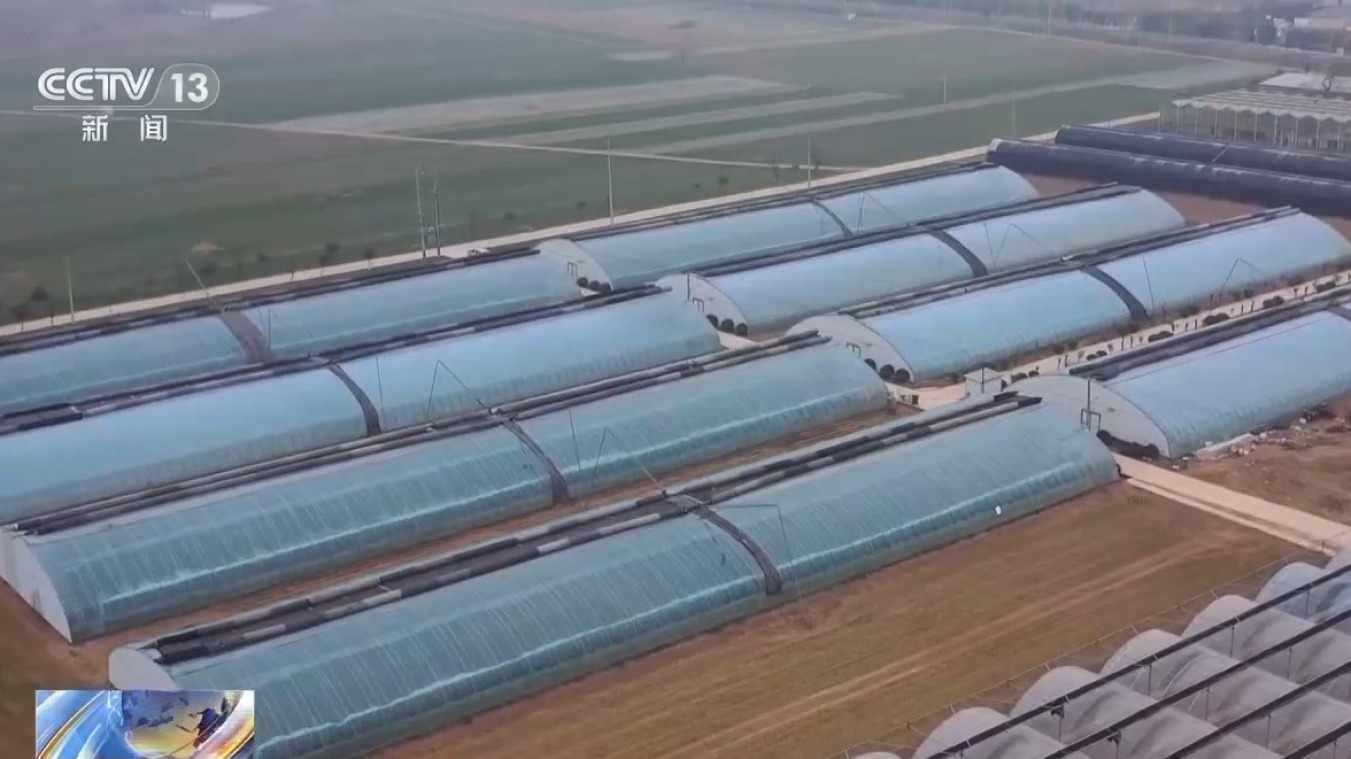 寒潮来袭，农业生产这些防护措施不能少(图4)