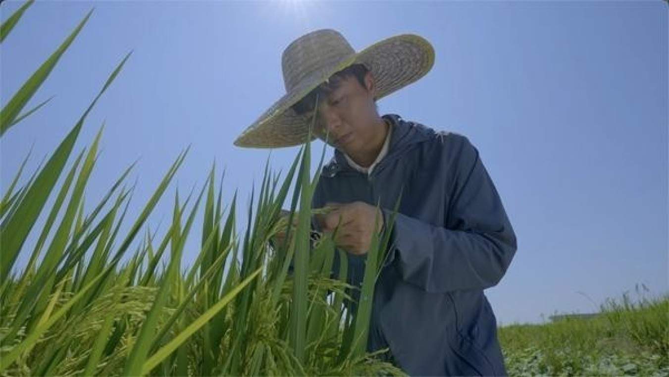 把知识“种”进田野，新农人交出“硬核”答卷(图4)