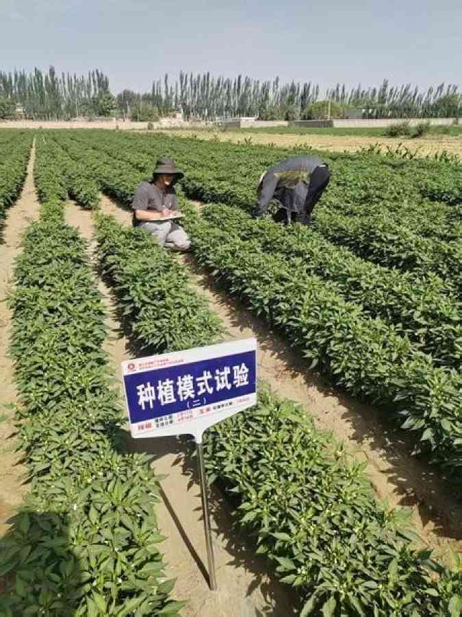 把知识“种”进田野，新农人交出“硬核”答卷(图1)