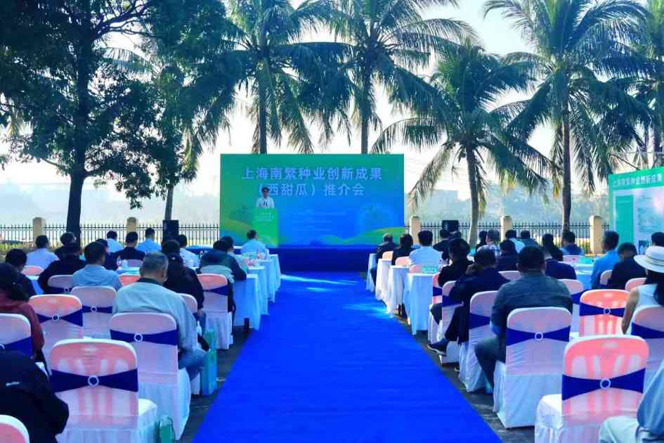 上海南繁种业创新成果（西甜瓜）推介会在海南陵水举行(图1)