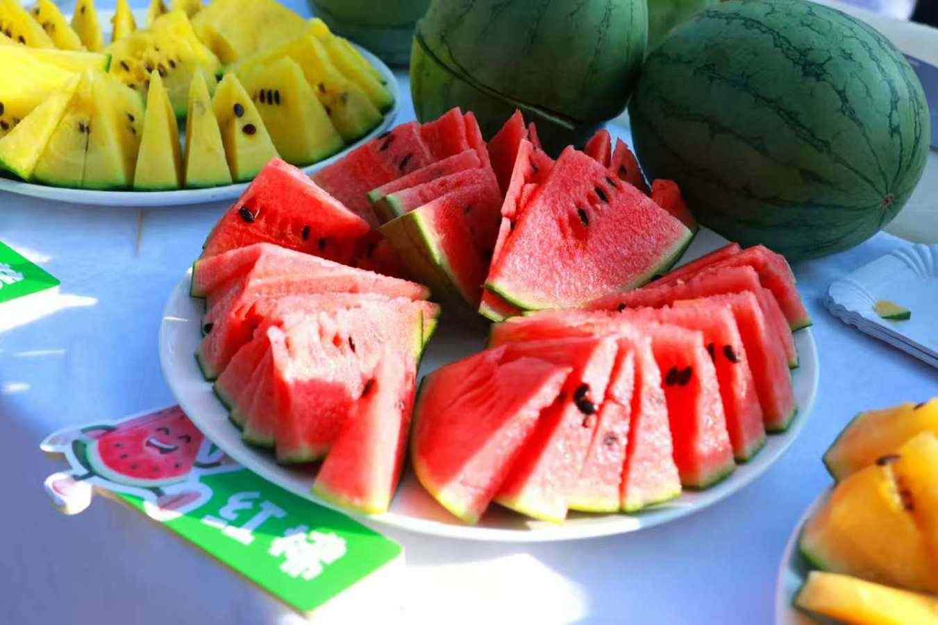 上海南繁种业创新成果（西甜瓜）推介会在海南陵水举行(图4)