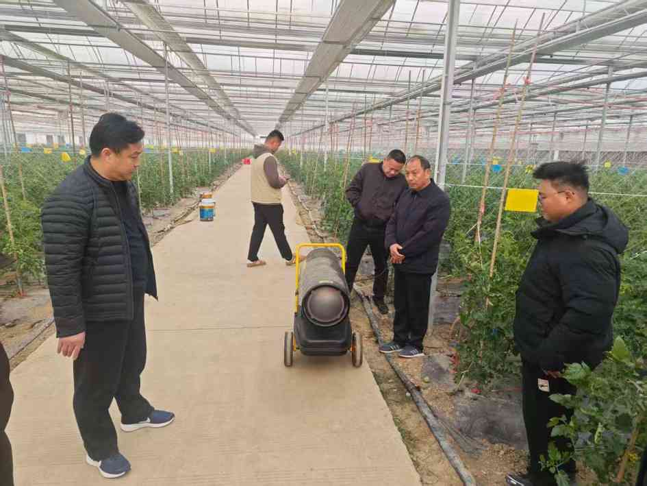 湖北武汉：迅速开展设施大棚寒潮防护(图2)