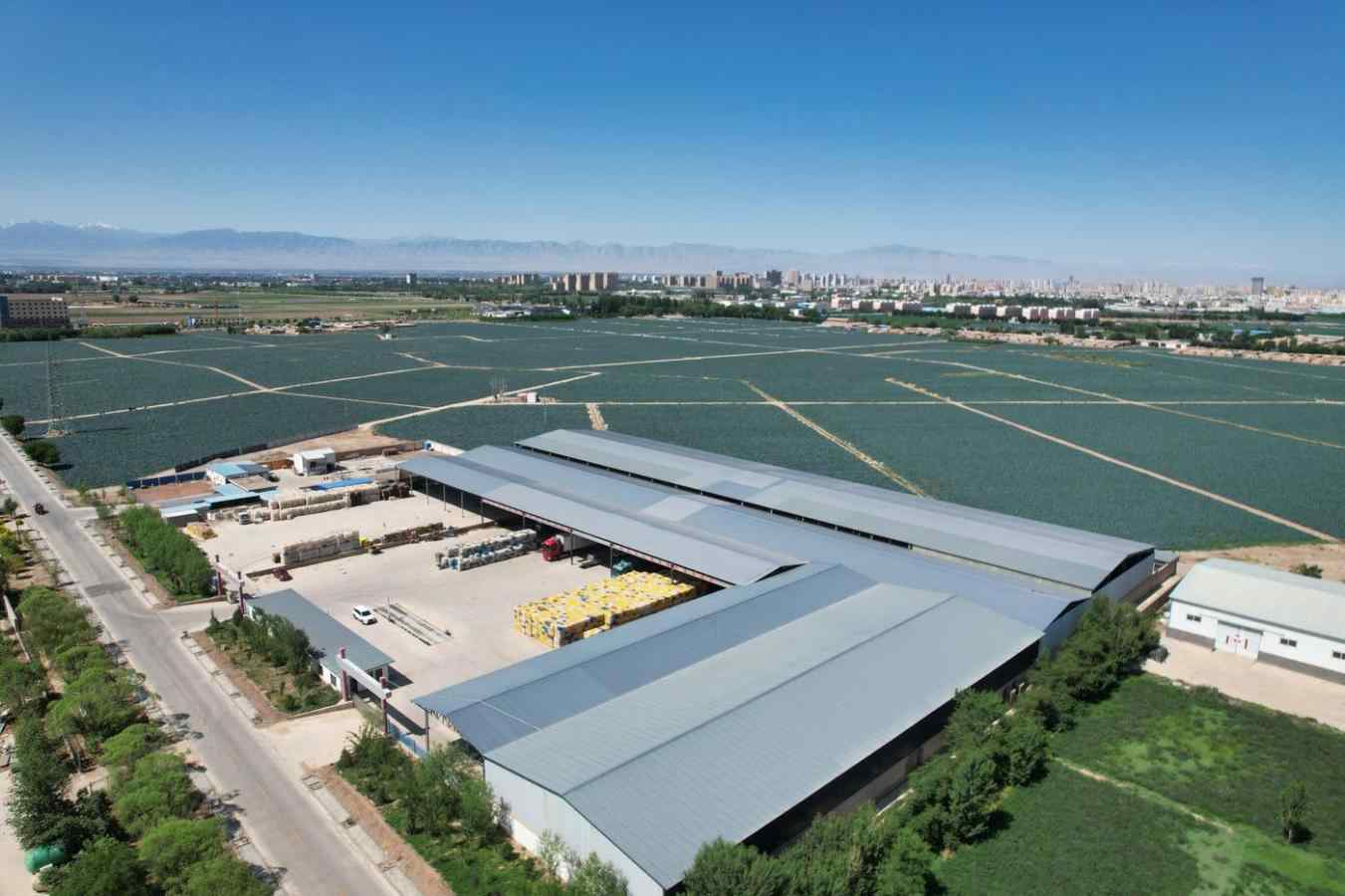 从“单打独斗”到“百花齐放”：甘肃甘州232家村集体公司营收两年增长超5倍(图4)