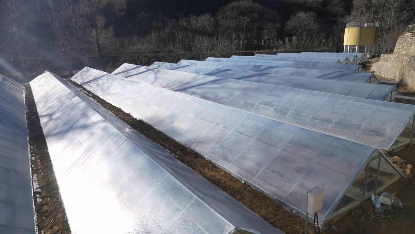 延庆大庄科乡：公益金铺就革命老区振兴进阶之路(图1)