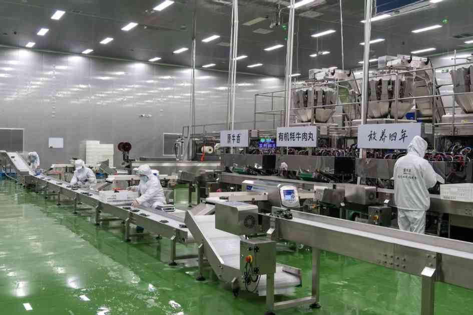 一粒牦牛肉丸的产业振兴梦——青海省内规模最大的牦牛肉丸生产基地正式投产(图3)