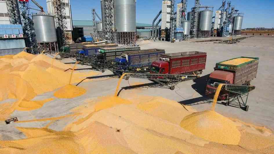 黑龙江富锦：从“产粮大县”到“绿色粮都”(图3)