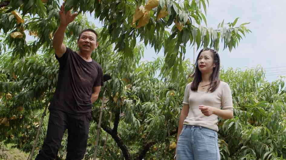 浙江两会专访｜陈慧春：桃香深处共富路，从“论斤卖”到“论个卖”(图3)