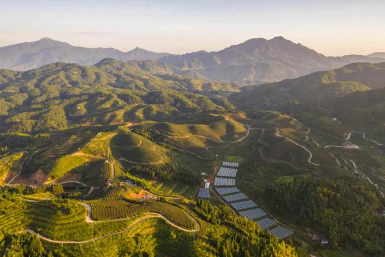 攥指成拳强品牌：福建持续打响“福农优品”名片(图1)