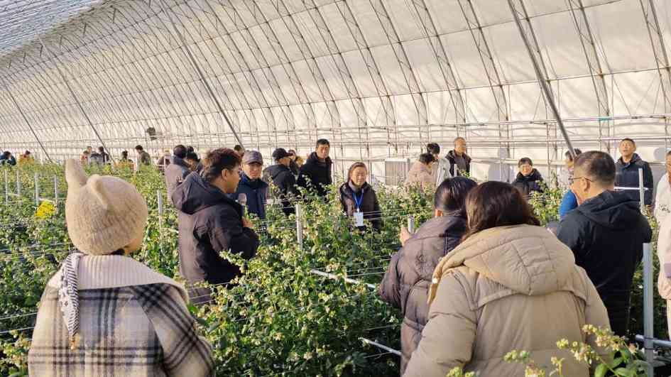 辽宁丹东培育高素质“数字新农人”(图3)