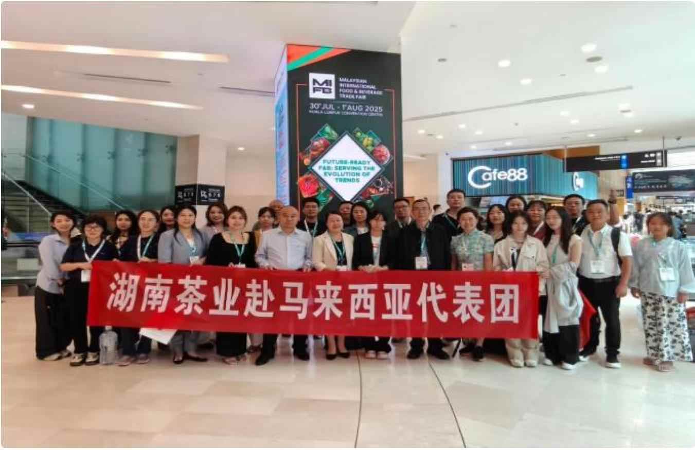 “十四五”期间“湖南红茶”为乡村振兴注入强劲动能(图5)