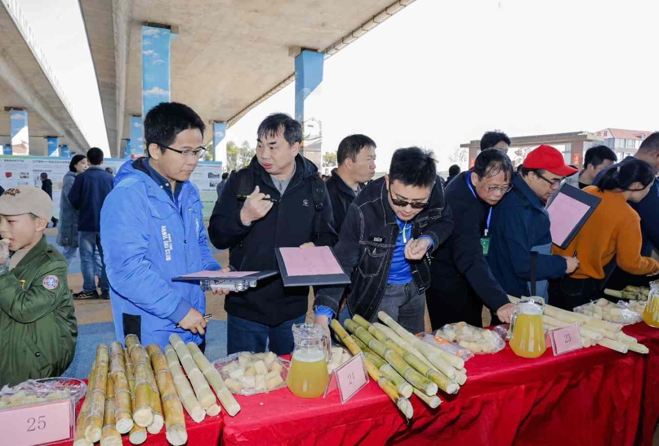 全国种业创新发展大会在福建漳州召开(图2)