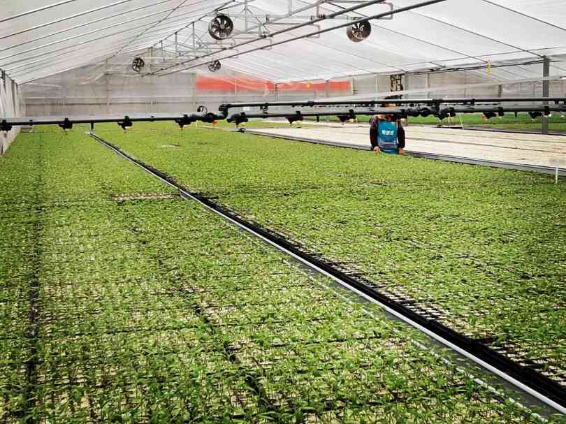 重庆146名农技专家北碚论道，求解丘陵农业增效新方程(图2)