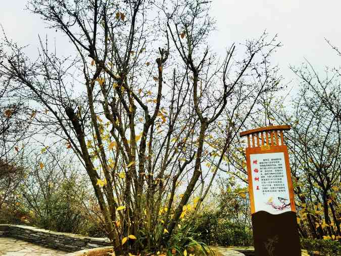 重庆146名农技专家北碚论道，求解丘陵农业增效新方程(图6)