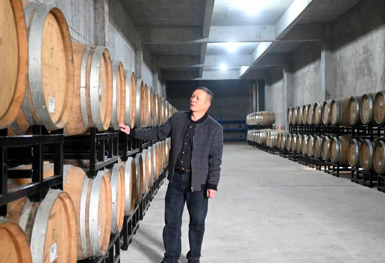 福建松溪：一根蔗“链”就大产业(图5)