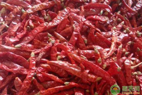 2026年干辣椒价格最新行情(图1)