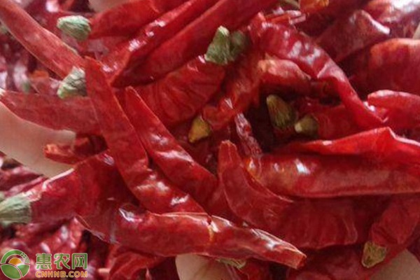 2026年干辣椒价格最新行情(图3)