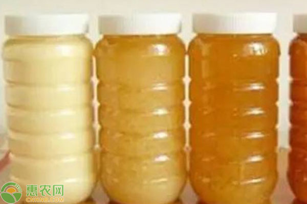 2026年蜂蜜价格多少钱一斤？(图1)