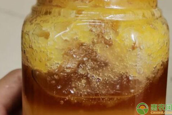 2026年蜂蜜价格多少钱一斤？(图2)