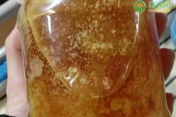 2026年蜂蜜价格多少钱一斤？(图3)