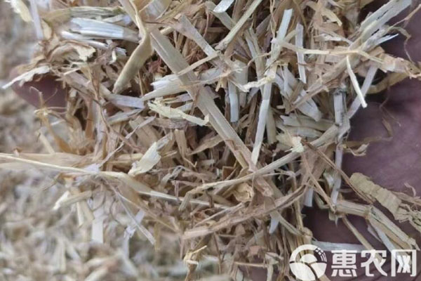 2026年秸秆饲料价格多少钱一吨?(图1) 2026年秸秆饲料价格多少钱一吨?(图1)