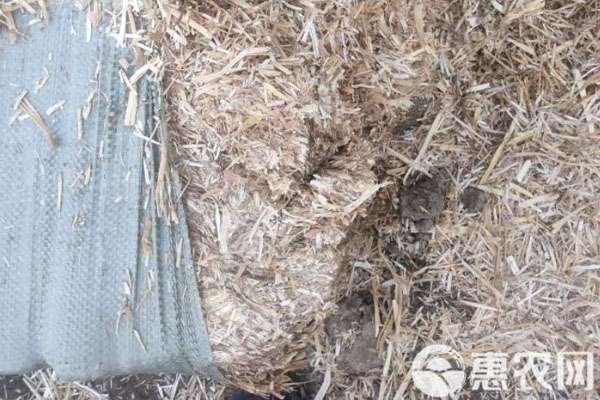 2026年秸秆饲料价格多少钱一吨?(图2) 2026年秸秆饲料价格多少钱一吨?(图2)