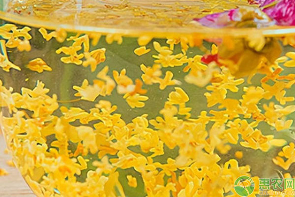 2026年花草茶价格多少钱一斤?(图2) 2026年花草茶价格多少钱一斤?(图2)