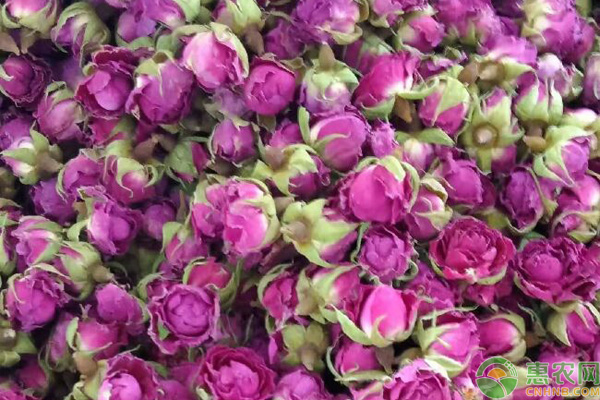 2026年花草茶价格多少钱一斤?(图3) 2026年花草茶价格多少钱一斤?(图3)