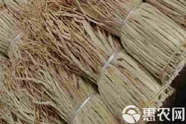 2026年党参价格多少钱一斤？(图2)