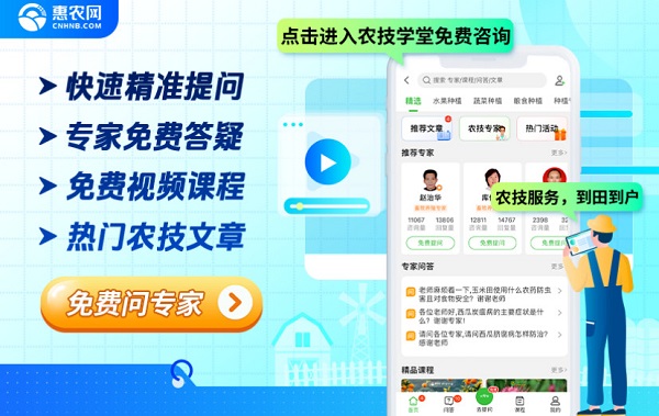 AI种地，“比特”卖瓜……这4个小故事里藏着新农人致富的新姿势！