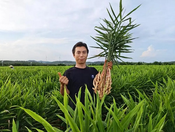 80后新农人邓坤：跨界闯荡“姜”湖，年销超400万