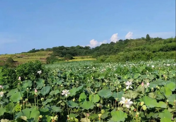 惠农网助力五旬果农闯荡电商，看他如何披荆斩棘！(图2)