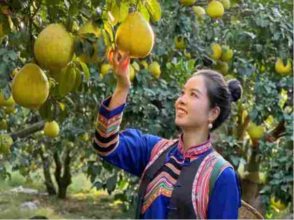 她们，在乡村，年销破1000万元