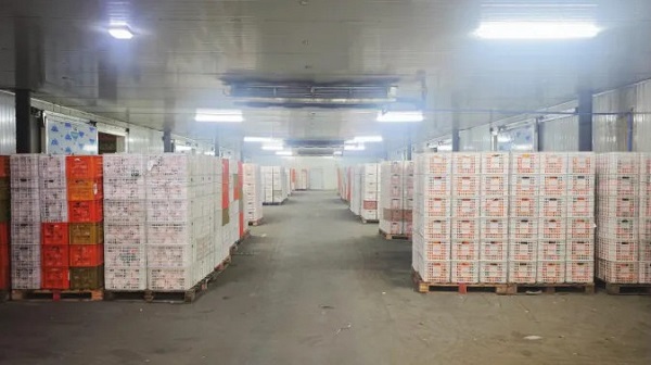 117天跻身TOP5！奇异农业用实力证明：做好水果生意，这两点缺一不可(图2)