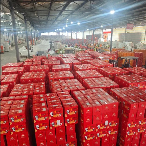 117天跻身TOP5！奇异农业用实力证明：做好水果生意，这两点缺一不可(图3)