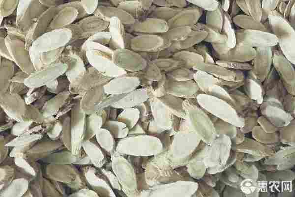 2026年黄芪价格走势预测(图2)