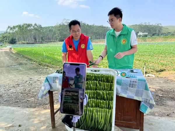 亩增产40%，年增收超200万元，他说种菜的问题都可以问他