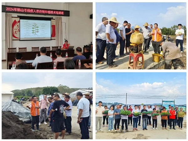 亩增产40%，年增收超200万元，他说种菜的问题都可以问他(图2)