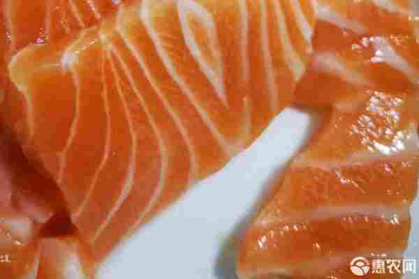 2026年鲑鱼价格多少钱一斤？(图2)