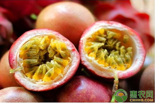 2026年百香果价格多少钱一斤？(图1)