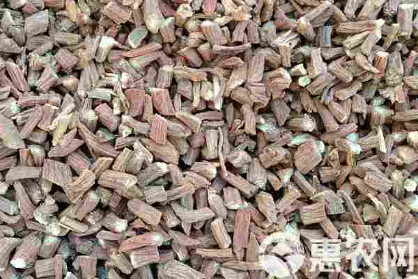 2026年丹参价格多少钱一斤？(图2)