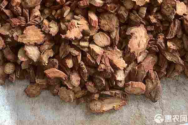 2026年丹参价格多少钱一斤？(图3)