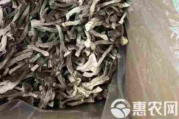 2026年鹿茸菇价格多少钱一斤？(图2)