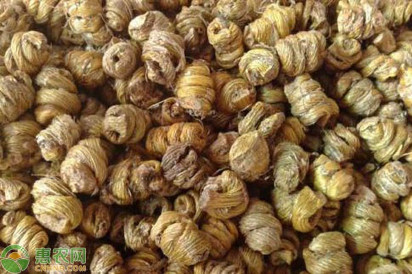 2026年石斛价格多少钱一斤？(图1)