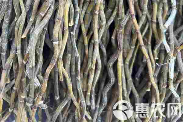 2026年石斛价格多少钱一斤？(图2)