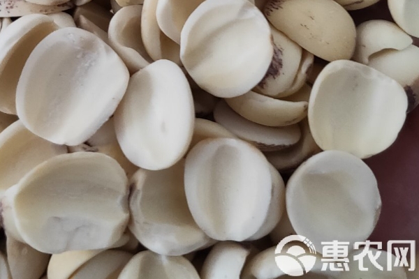 2026年莲子价格多少钱一斤?(图2) 2026年莲子价格多少钱一斤?(图2)