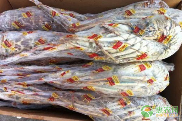 2026年龙虾价格多少钱一斤？(图3)